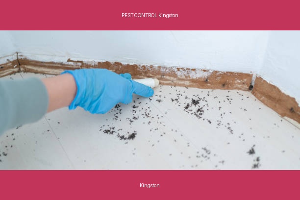 PEST CONTROL Kingston